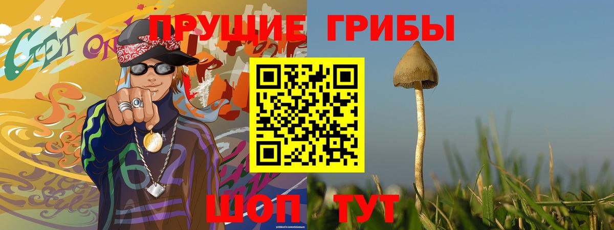Псилоцибиновые грибы мухоморы Балашов